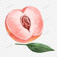 WWW,eee92·COM网站APP最新版